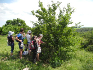 DSCN0264