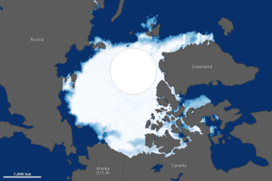 npseaice_ssm_1984258