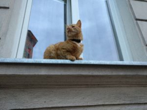 img_20170625_204422